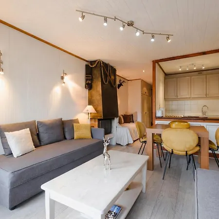 Chaleureux 2 Pieces A La Clusaz, Animaux Admis - Fr-1-304-70 Apartment